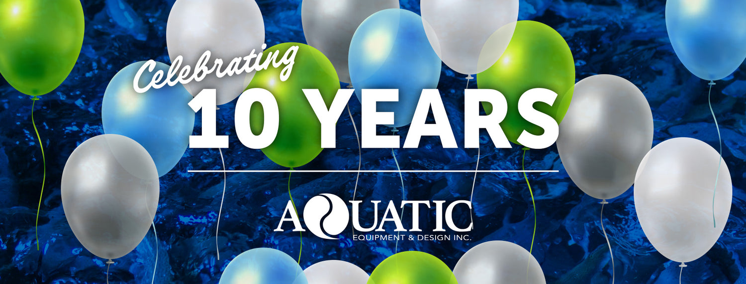 Celebrating 10 Years!