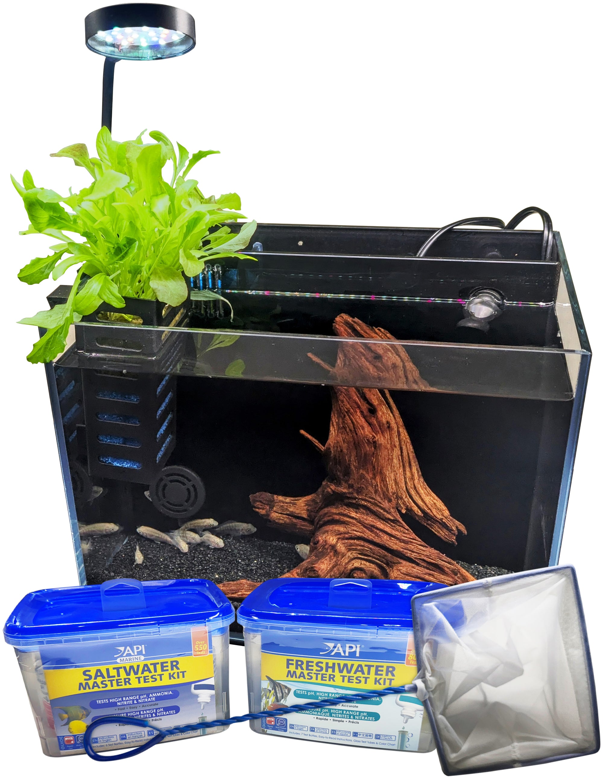 Desktop Aquaponic System