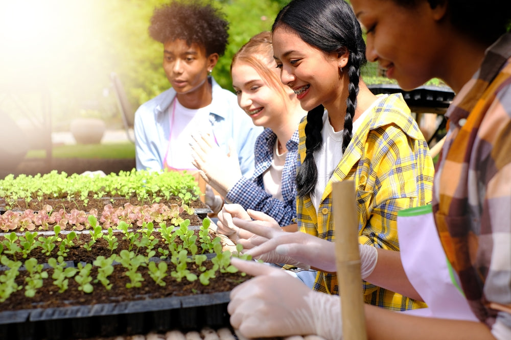 Education | Aquaponics & Hydroponics